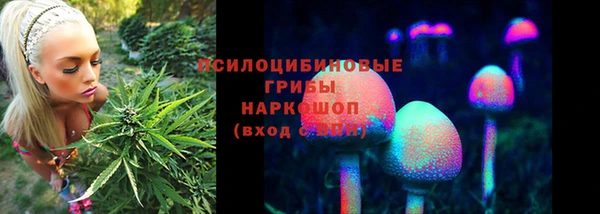 винт Липки
