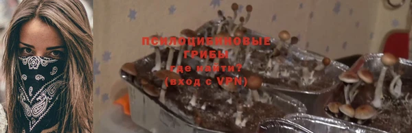 mdpv Лихославль