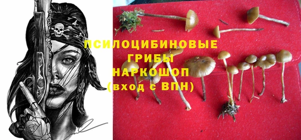 винт Липки
