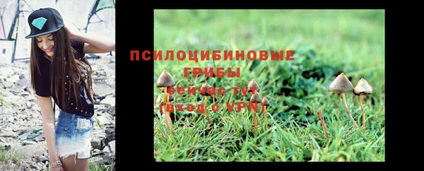 крисы Алзамай