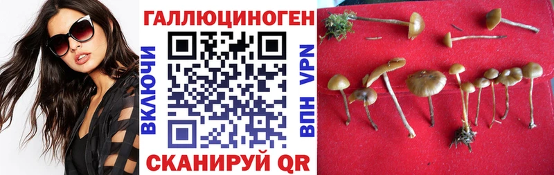 Галлюциногенные грибы мухоморы купить наркотик гидра ссылка Алдан